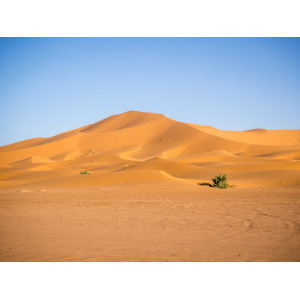 Sahara algérien : en phase de devenir fournisseur d'électricité mondial !