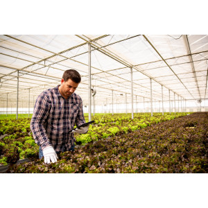 Le projet agrivoltaïque de Sun'Agri porte ses fruits!