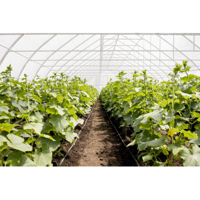 Symbiosyst : Lancement d'un projet d'étude agrivoltaïques